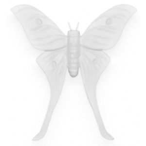 ornament, luna moth frost white