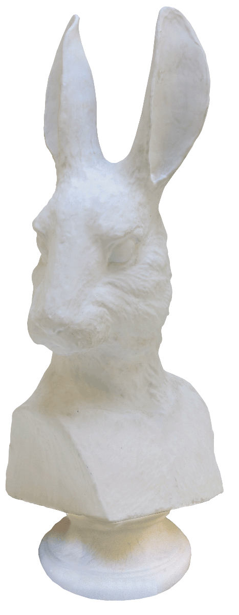 ANIMAL BUST #1 FIVER