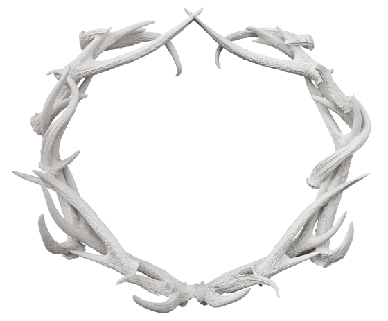 antler wreath