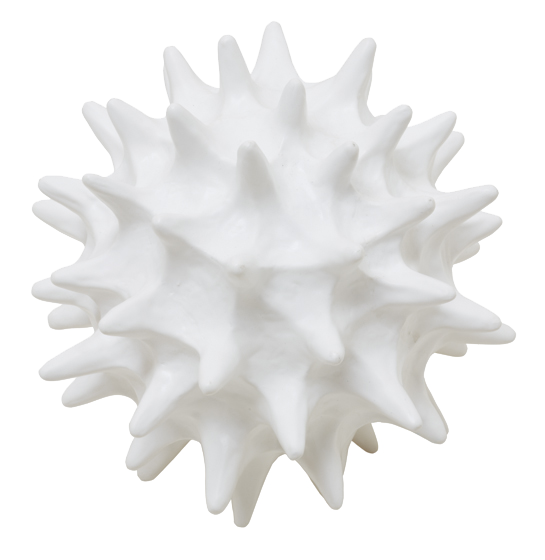 copernicus ornament