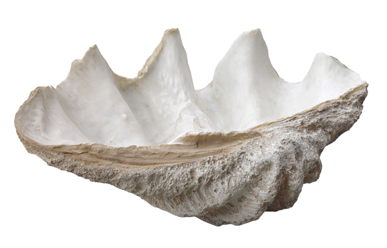 lombok ornament