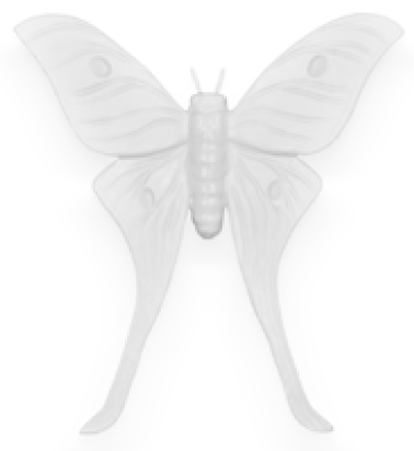 ornament, luna moth frost white
