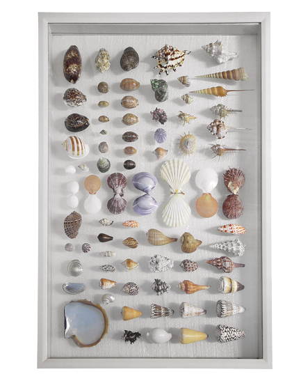 wall art tahiti shell collection large